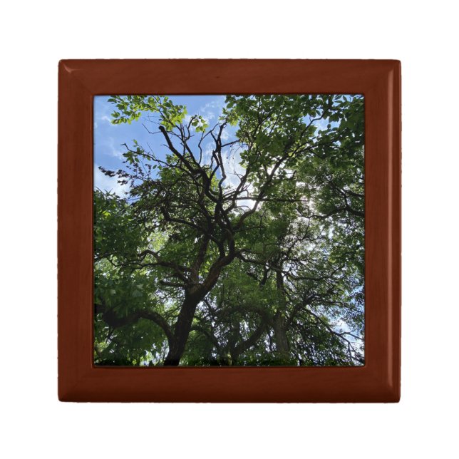 Wooden Keepsake Box (Front)