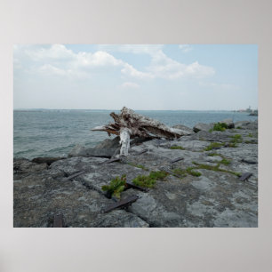 Wooden Lake Monster Sculpture Poster