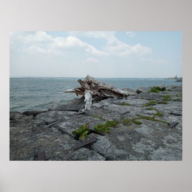 Wooden Lake Monster Sculpture Poster (Front)