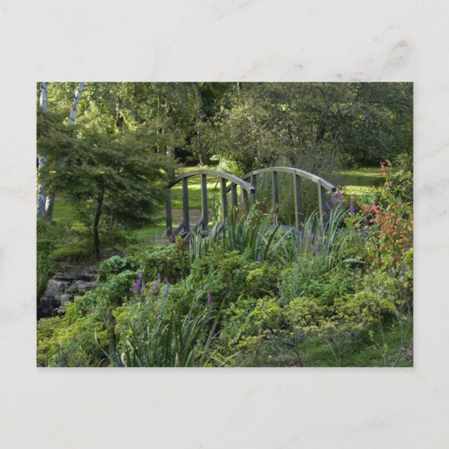 Wooden little bridge postcard (Front)