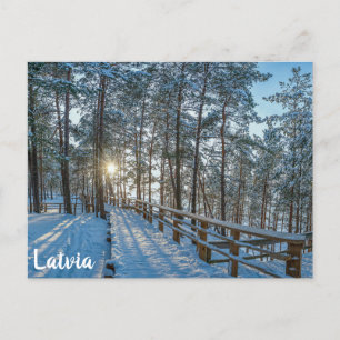 Wooden path across snowy winter forest postcard