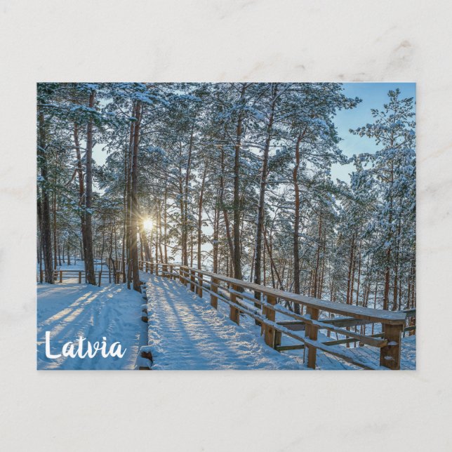 Wooden path across snowy winter forest postcard (Front)