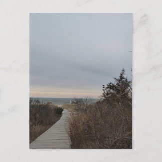 Wooden Path Postcard
