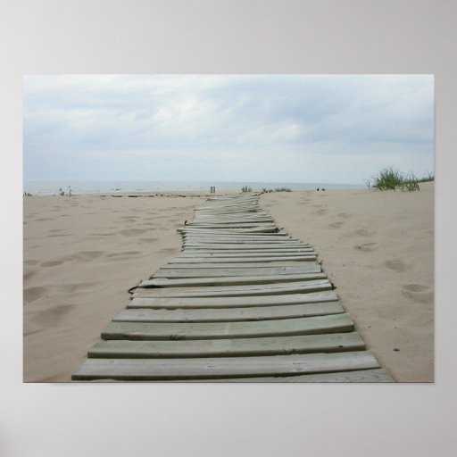 Wooden Plank Path Poster | Zazzle