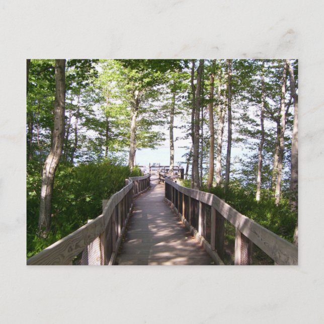 Wooden Railing Postcard (Front)