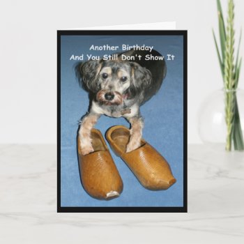 Wooden Shoe Know It? Birthday Card With Dog by MortOriginals at Zazzle