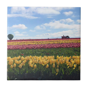 Wooden Shoe Tulip Farm, Woodburn, Oregon Ceramic Tile