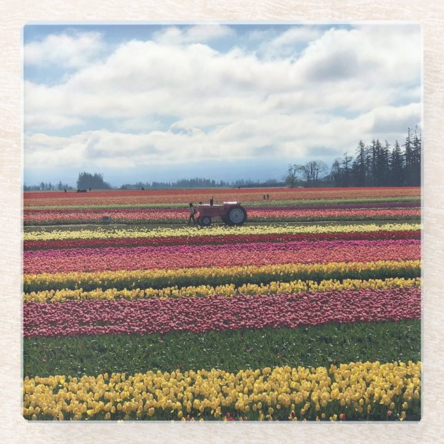 Wooden Shoe Tulip Farm, Woodburn, Oregon Glass Coaster (Front)