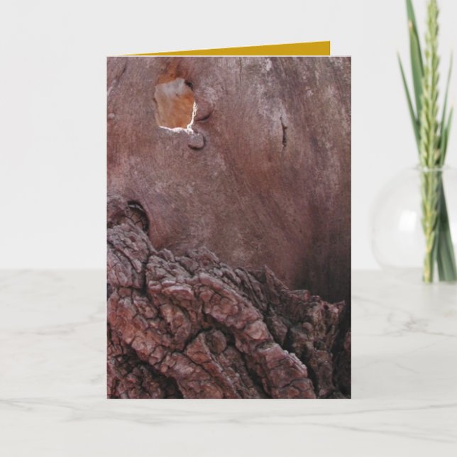 Wooden Tears Card (Front)