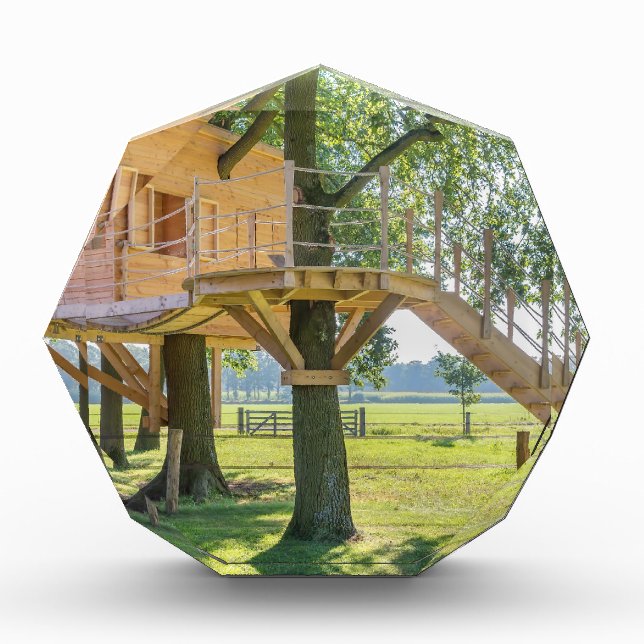 Wooden tree house in oak tree with grass award (Front)