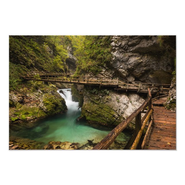 Wooden walkway through Vintgar Gorge canyon Photo Print (Front)