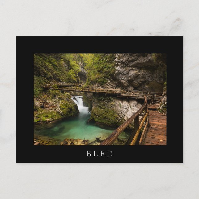 Wooden walkway through Vintgar Gorge canyon Postcard (Front)