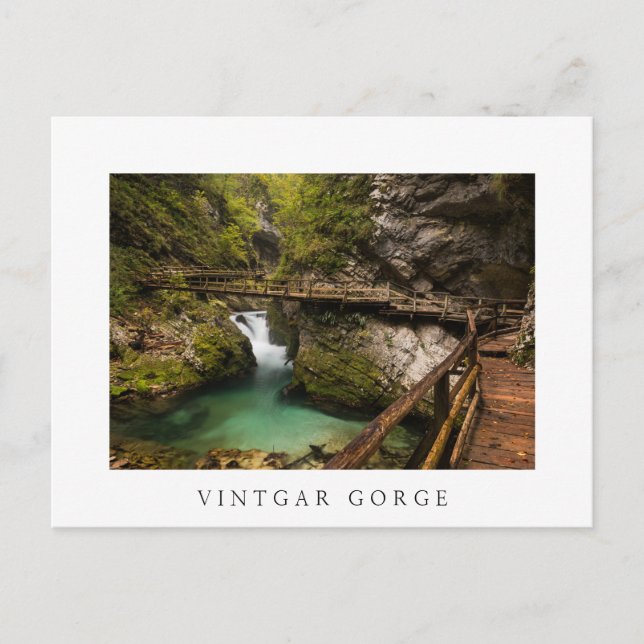 Wooden walkway through Vintgar Gorge canyon Postcard (Front)