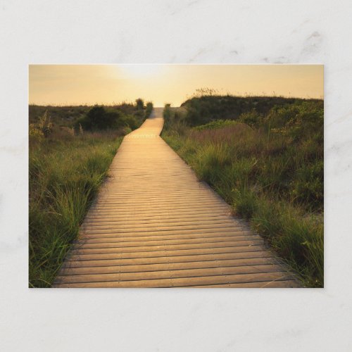 Wooden Walkway to Beach Postcard