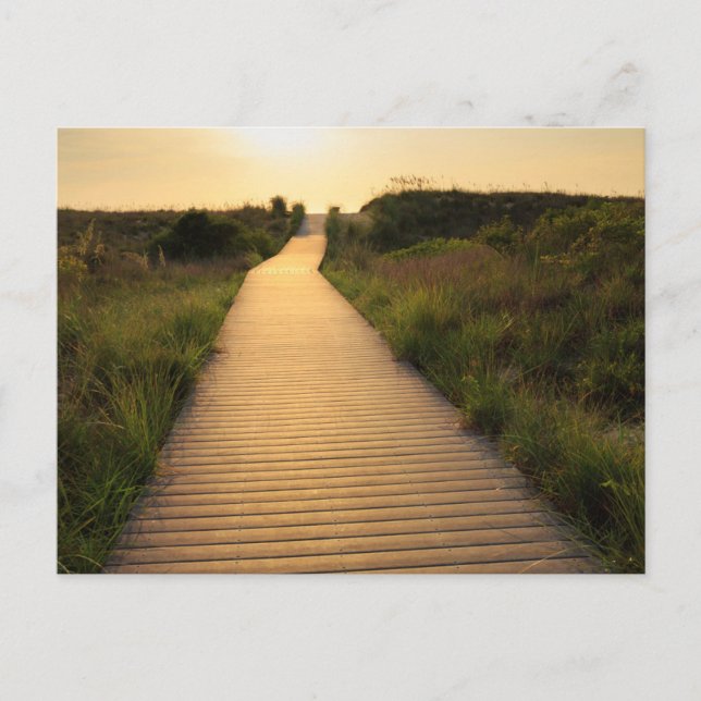 Wooden Walkway to Beach Postcard (Front)