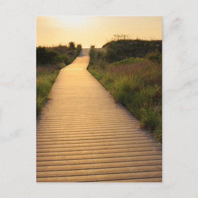 Wooden Walkway to Beach Postcard (Front)