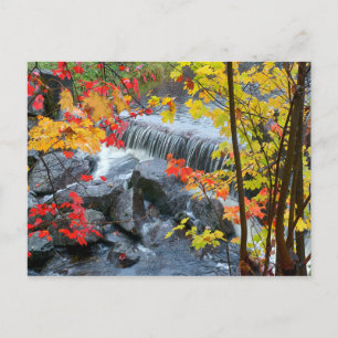 Woodford State Park Postcard