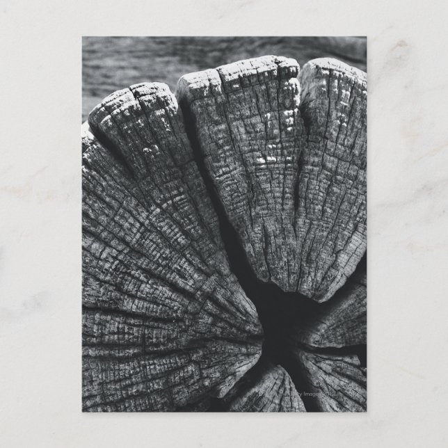 Woodgrain detail postcard (Front)