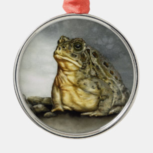 Woodhouse Toad ornament