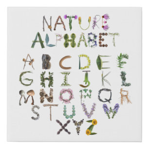 Woodland Alphabet ABC Nursery Decor   Nature Based Faux Canvas Print
