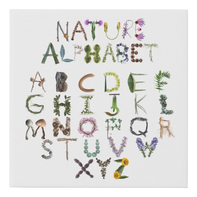 Woodland Alphabet ABC Nursery Decor | Nature Based Faux Canvas Print (Front)