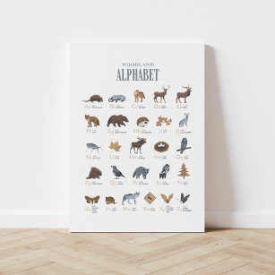 Woodland Alphabet Animal ABC Canvas Print