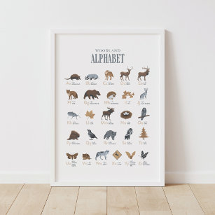 Animal Alphabet Posters & Prints