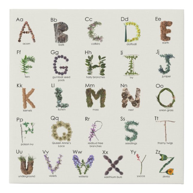 Woodland Alphabet | Nature ABC Kids Nursey  Faux Canvas Print (Front)
