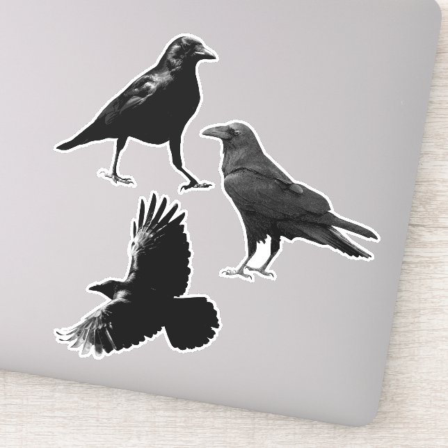 Woodland Animal 3 Black Raven Birds Flying Crows Sticker (Detail)