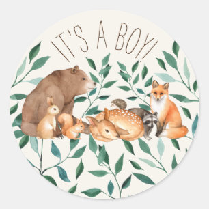Woodland Animal Friends It's A Boy Classic Round Sticker