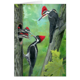 Woodland Animal Woodpecker family Cards