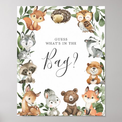 Woodland Animals Baby Guess Whats in the Bag Poster