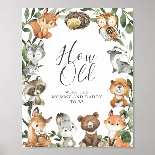 Woodland Animals How Old Were The Mommy and Daddy  Poster
