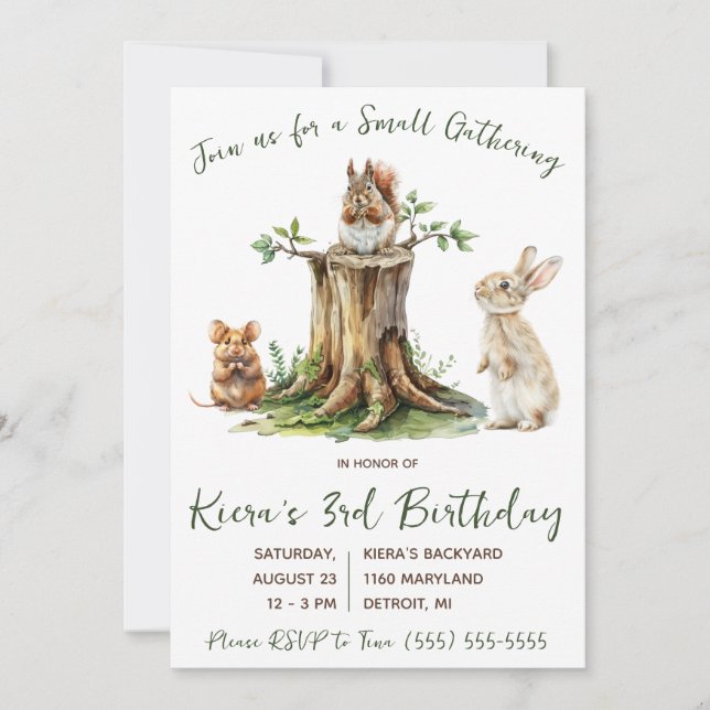 Woodland Animals, Small Gathering, Birthday Party Invitation (Front)