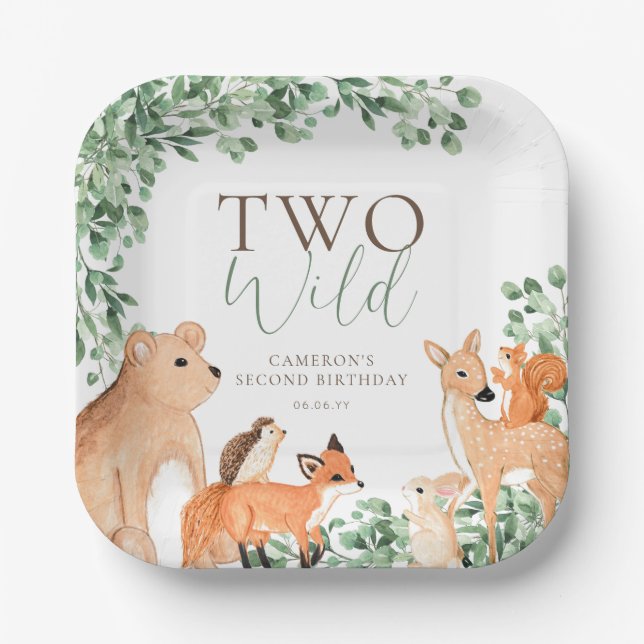 Woodland Animals White Two Wild Second Birthday Paper Plates (Front)