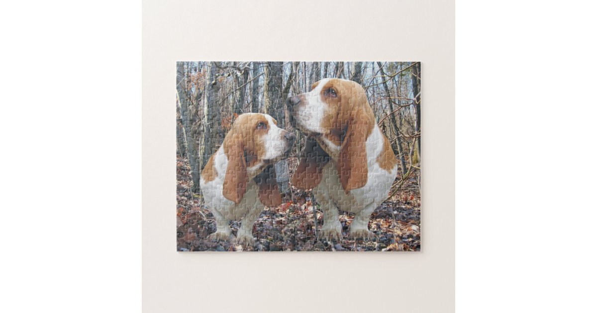 Basset Hound Dog puzzle, Hound dog puzzle, Basset hound dog puzzle