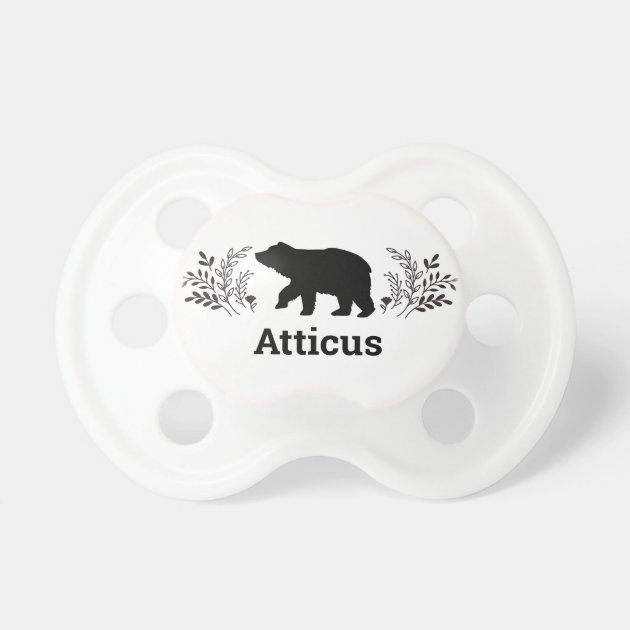 bear pacifier