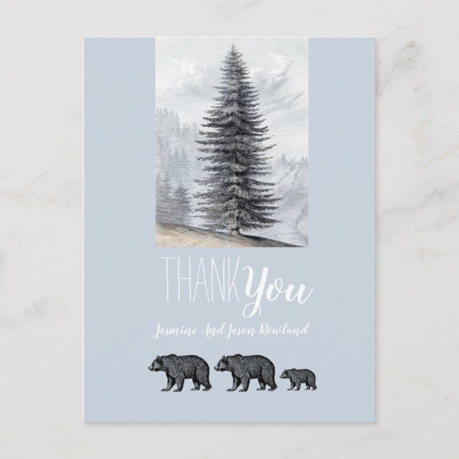 Woodland Bears Baby Shower Thank You Blue Gray Postcard (Front)