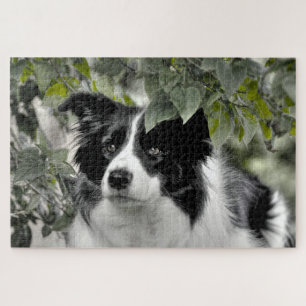 Woodland Border Collie 1014 Piece Jigsaw Puzzle