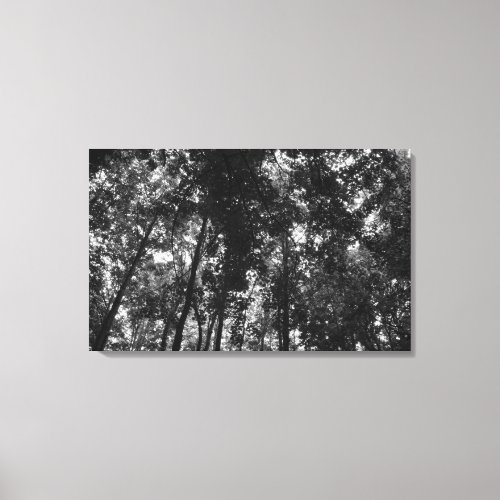 Woodland Canopy 01 BW Canvas Print