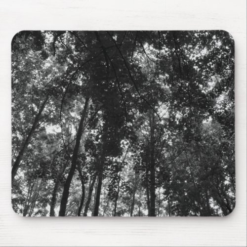 Woodland Canopy 01 BW Mouse Pad