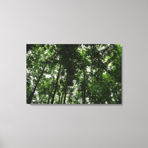 Woodland Canopy 01 Canvas Print