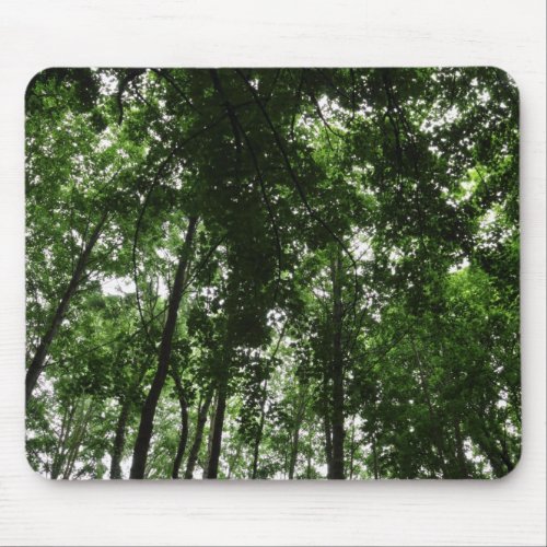 Woodland Canopy 01 Mouse Pad