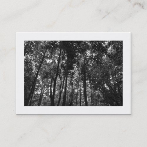 Woodland Canopy 02 BW Bordered Business Card
