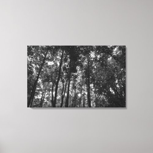 Woodland Canopy 02 BW Canvas Print