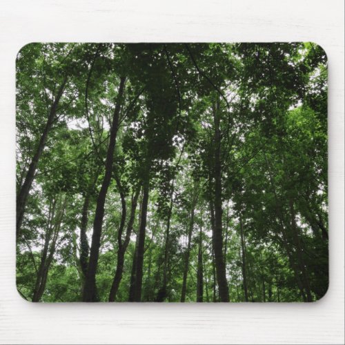 Woodland Canopy 02 Mouse Pad
