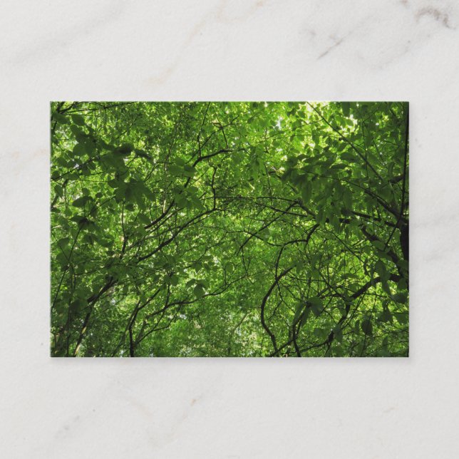 Woodland Canopy Business Card (Front)