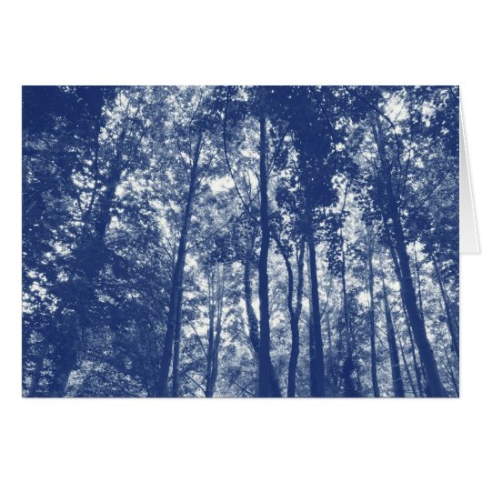 Woodland Canopy - Cyanotype Effect (Front Horizontal)