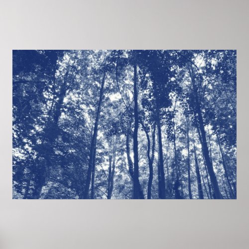 Woodland Canopy _ Cyanotype Effect Poster