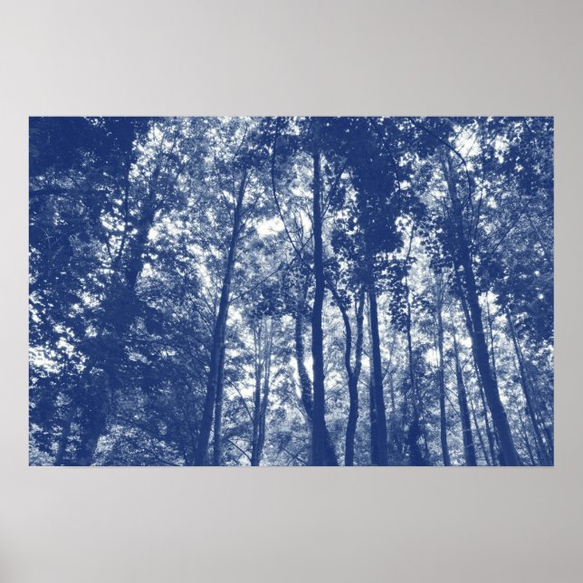 Woodland Canopy - Cyanotype Effect Poster (Front)